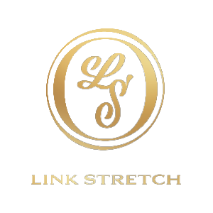 LINK STRETCH